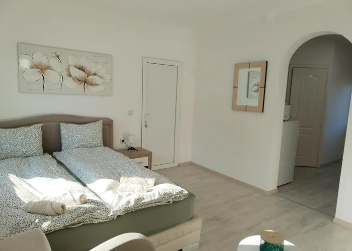 Andrijana Soko Banja