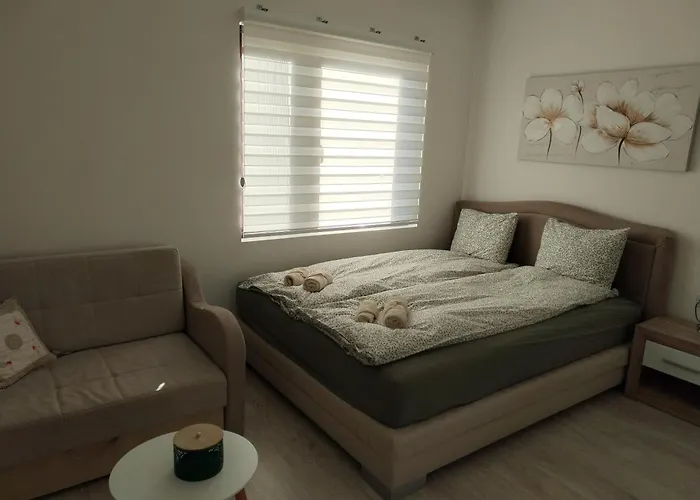 Andrijana Soko Banja